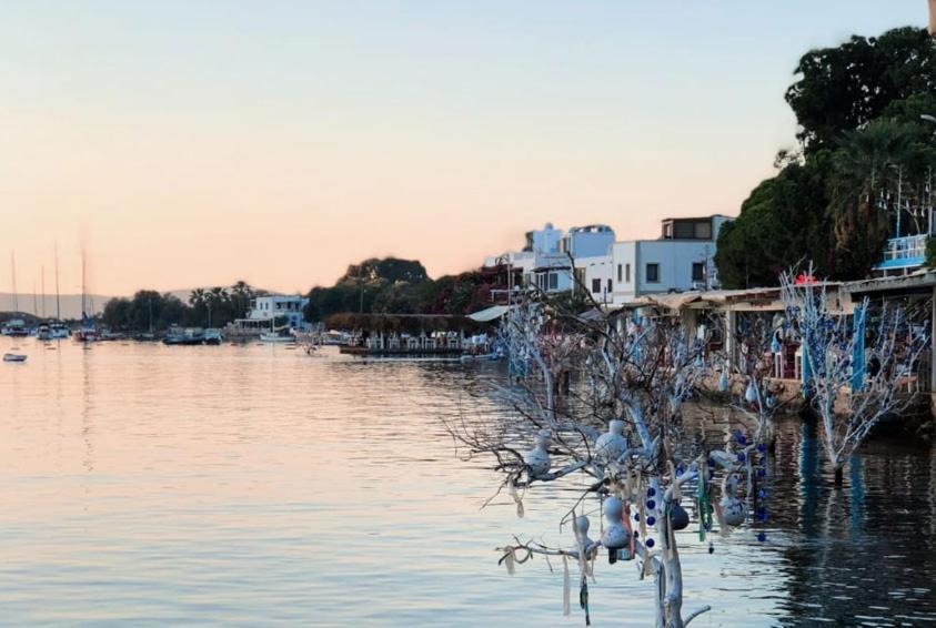 Hotel Azure Wellness Retreat (Adults Only) Turgutreis Esterno foto